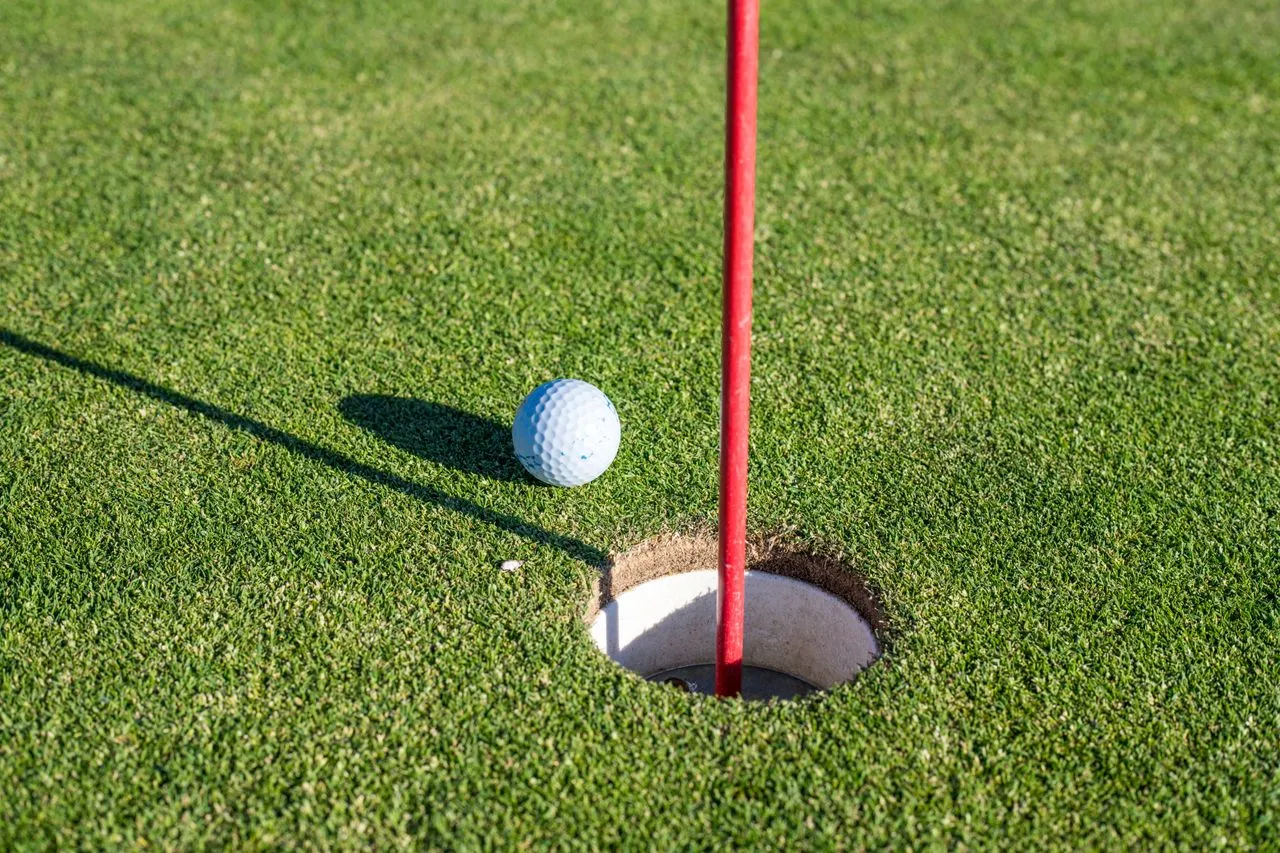 Golf ball resting beside the cup and a red flagstick on a sunny, closely mown green