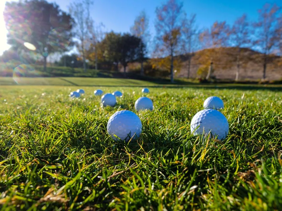 Two white golf balls side by side in the grass, more balls behind them in low sun